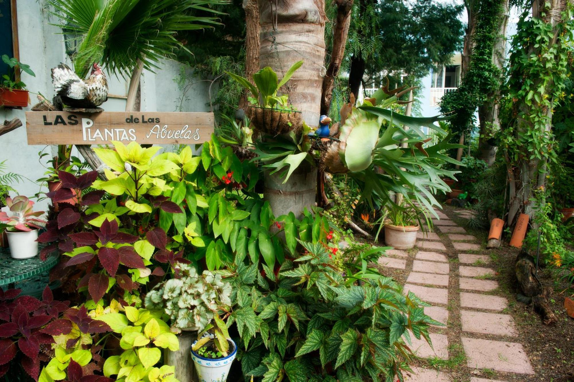 Apartamentos Adjovimar Los Llanos De Aridane Exterior foto