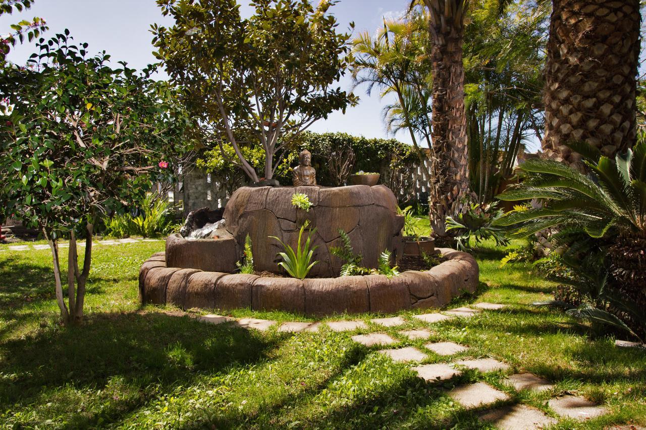 Apartamentos Adjovimar Los Llanos De Aridane Exterior foto