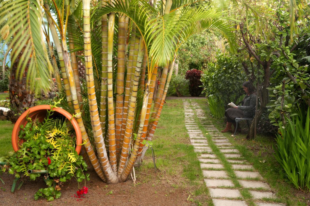 Apartamentos Adjovimar Los Llanos De Aridane Exterior foto
